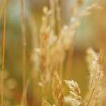 故障した車って売れるの？実は意外と値段がつく理由と上手な売り方