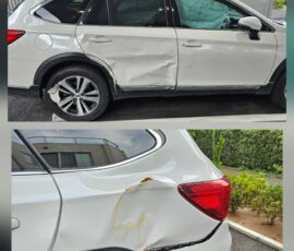 東京エリアの事例：アウトバック